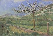 Ferdinand Hodler Apple tree in Blossom oil painting reproduction